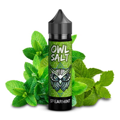 OWL Salt - SPEARMINT (10ml)