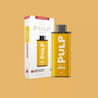 Pod-Kartusche Mango & Ice - Le Pod Slim by Pulp