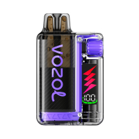 Vozol VISTA PLUG Pod Kit - Blueberry Sour Raspberry