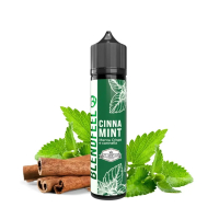 Blendfeel - CINNA MINT (20ml)