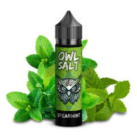 OWL Salt - SPEARMINT (10ml)