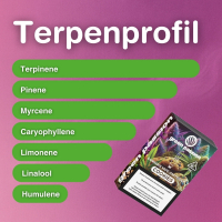 CBD Vape Cartridge - COOKIES