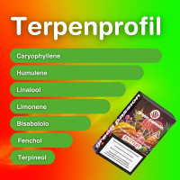 CBD Vape Cartridge - ZKITTLES