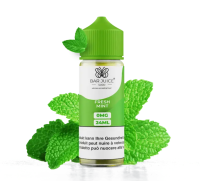 Bar Juice 5000 - FRESH MINT (24/120ml)