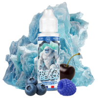 Frozen Beast - FRAMBOISE BLEUE MYRTILLE CERISE NOIRE (50/70ml)