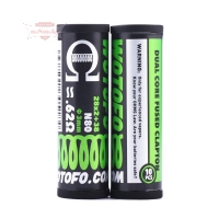 Wotofo Dual Core Fused Clapton Coil - N80 / 0.62Ω